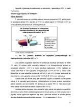 Biznesa plāns 'Kultūraugu ražošanas plāns zemnieku saimniecībā "Kastaņi"', 17.