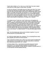 Referāts 'Turaidas pils', 2.