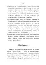 Referāts 'Ceļu policijas darba organizācija ceļu satiksmes drošības garantēšanā', 19.