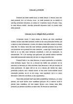 Referāts 'Tiesas sēdes protokols', 13.