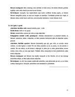 Prakses atskaite 'Mazbērnu prakse pirmsskolas izglītības iestādē', 25.