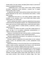 Referāts 'Eiropas Savienības trīs pamatbrīvību raksturojums', 9.