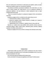 Referāts 'Eiropas Savienības trīs pamatbrīvību raksturojums', 13.