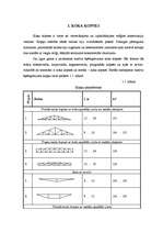 Referāts 'Koka kopņu pielietošana mazstāvu ēku būvniecībā', 6.