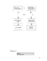 Referāts 'Stress pusaudžu un vidusskolēnu vidū', 19.
