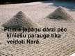 Prezentācija 'Japāņu dārzi', 9.