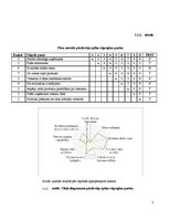 Referāts 'SIA "Lāči" analīze', 3.