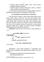 Diplomdarbs 'Uzņēmuma tirgzinības stratēģijas izveide IK "Meta"', 17.