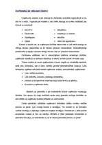 Eseja 'Darba apraksts, CV, motivācijas vēstule, teorija', 6.