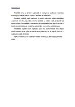 Eseja 'Darba apraksts, CV, motivācijas vēstule, teorija', 10.