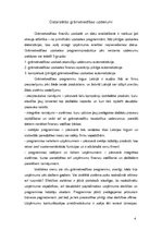 Referāts 'Grāmatvedības programmu pielietojums', 4.