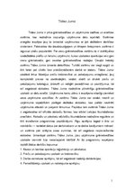 Referāts 'Grāmatvedības programmu pielietojums', 10.