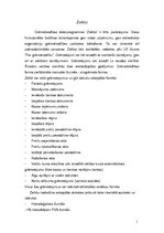 Referāts 'Grāmatvedības programmu pielietojums', 13.