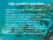 Prezentācija 'Aļģes', 23.