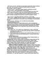 Konspekts 'Ekonomikas izaugsmes un makroekonomikas nestabilitāte', 4.