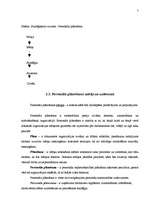 Referāts 'Personāla plānošana un kontrole organizācijā', 7.