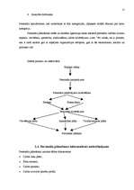 Referāts 'Personāla plānošana un kontrole organizācijā', 13.