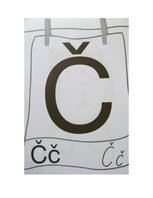 Konspekts 'Burti "C" un "Č"', 3.