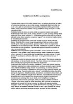 Eseja 'Smēķēšanas iedarbība uz organismu', 1.