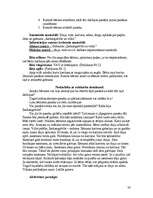 Prakses atskaite 'Pirmsskolas pedagoģijas prakse', 33.