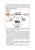 Diplomdarbs 'Medikamentozās aprūpes iespējas herpes simplex pacientiem Latvijā', 32.