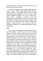 Referāts 'Vīrusu izraisītās slimības', 16.