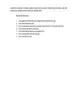 Referāts 'Norvēģijas tūrisma izvietojuma raksturojums', 4.