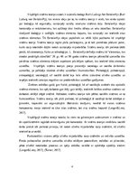 Referāts 'Vispārīgās sistēmu teorijas un psihodinamiskās teorijas salīdzinājums', 4.