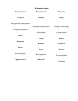 Diplomdarbs 'Разработка стратегии развития бизнеса для предприятия ООО "Reviko Auto"', 7.