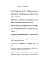 Konspekts 'Kultūras definīcijas', 3.