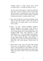 Konspekts 'Kultūras definīcijas', 4.