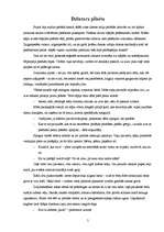 Referāts 'Skaidrītes Kaldupes literāro pasaku emocionalitāte', 17.