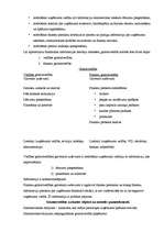 Konspekts 'Grāmatvedības uzskaite, tās saturs un uzdevumi', 2.