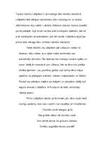 Eseja 'Lāčplēsis A.Pumpura eposā "Lāčplēsis" . Domraksts', 2.