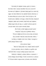 Eseja 'Lāčplēsis A.Pumpura eposā "Lāčplēsis" . Domraksts', 3.