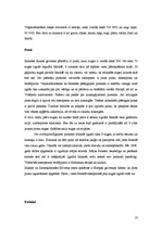 Referāts 'Islande', 10.