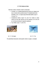 Referāts 'Islande', 16.