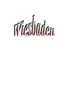 Referāts 'Wiesbaden', 6.