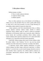 Referāts 'Reklāma un tās kampaņas izveide', 5.