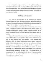 Referāts 'Reklāma un tās kampaņas izveide', 9.