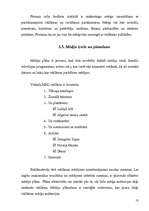 Referāts 'Reklāma un tās kampaņas izveide', 13.