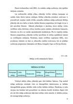 Referāts 'Reklāma un tās kampaņas izveide', 14.