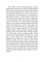 Referāts 'Skolas vadītāja darbības izpēte', 5.