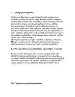 Referāts 'Keramikas apgleznošana pašrocīgi "Dari pats un neļauj citiem"', 6.