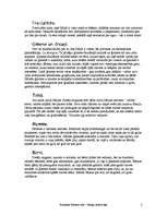 Referāts 'Itālijas iedzīvotāji', 7.