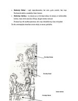 Konspekts 'Ferdinanda Luša darbs "Baloža skelets"', 6.