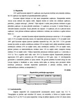 Referāts 'Kurzemes plānošanas reģions', 16.