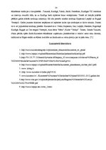 Referāts 'Kurzemes plānošanas reģions', 24.