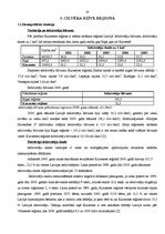 Referāts 'Kurzemes plānošanas reģions', 28.