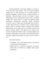 Referāts 'Multivide', 2.